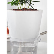 Self-Absorbing Hydroponic Flower Pot