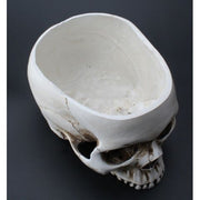 Skull Flower Pot