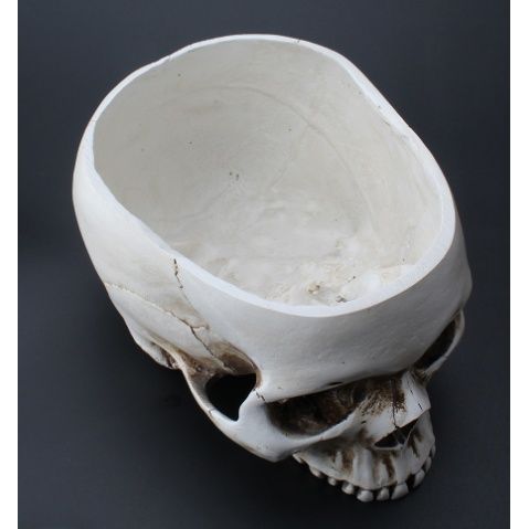 Skull Flower Pot