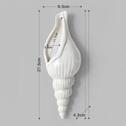 Wall Mount Conch Flower Vase