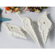 Wall Mount Conch Flower Vase