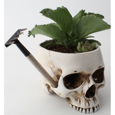 Skull Flower Pot
