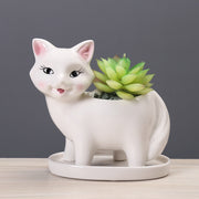 kitten Flower Pot