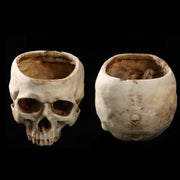 Skull Flower Pot