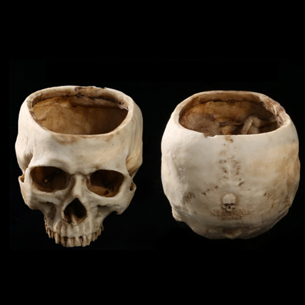Skull Flower Pot