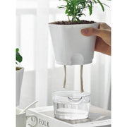 Self-Absorbing Hydroponic Flower Pot