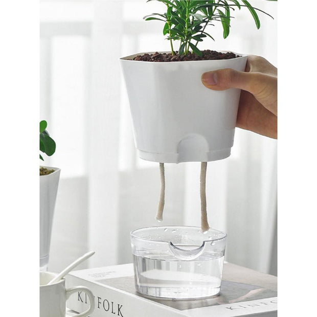 Self-Absorbing Hydroponic Flower Pot